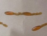 鼈甲(べっ甲)アクセサリー修理