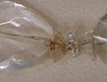 水晶(クリスタル)ネックレス修理