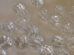 水晶(クリスタル)ネックレス修理